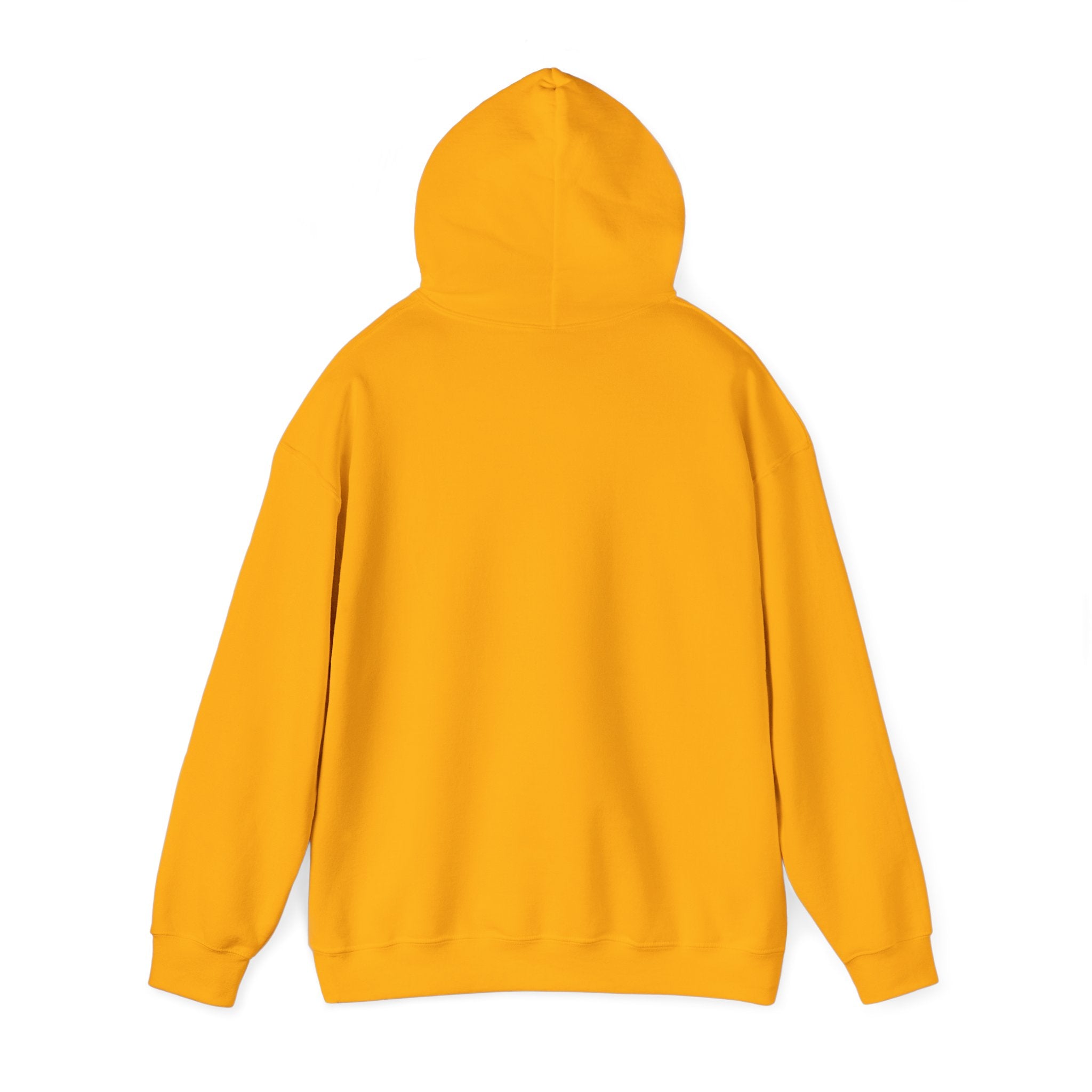 Heavy Blend™ Hooded Sweatshirt - Women is Hero