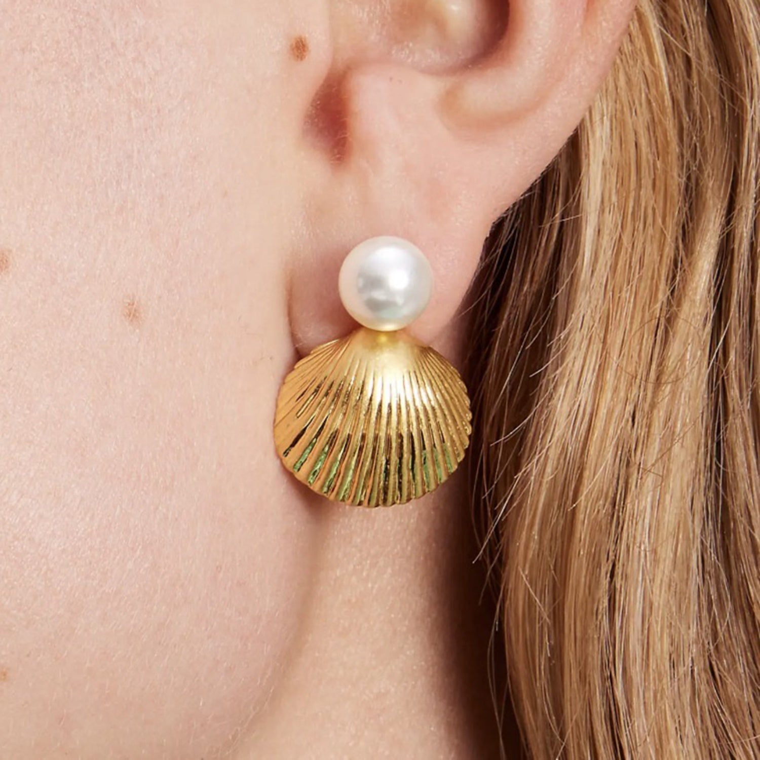 18K Gold-Plated Stainless Steel Shell Shape Earrings - ClozArt