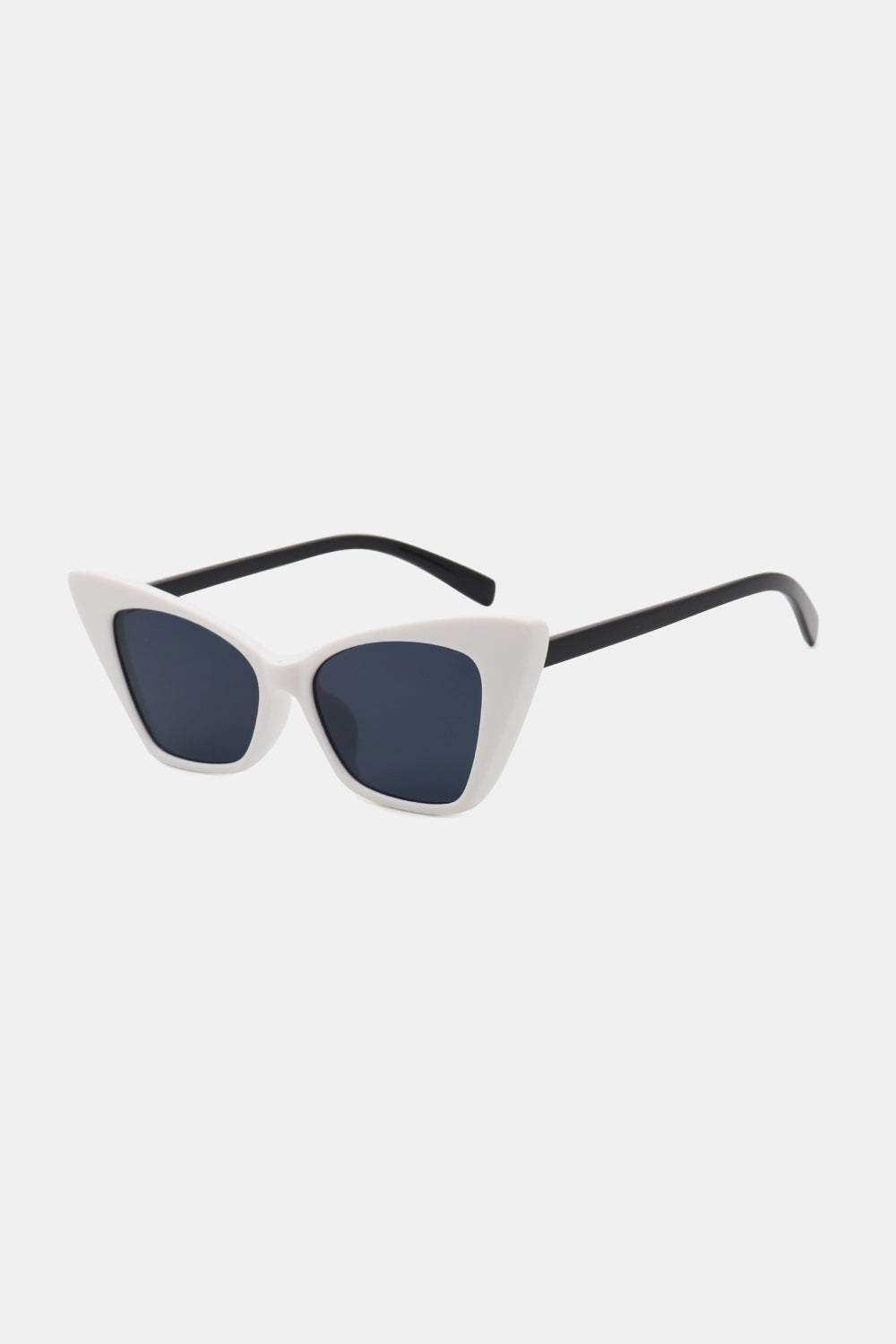 Acetate Lens Cat Eye Sunglasses - ClozArt